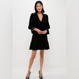 Pomander Place Black Velvet Kenzo Dress